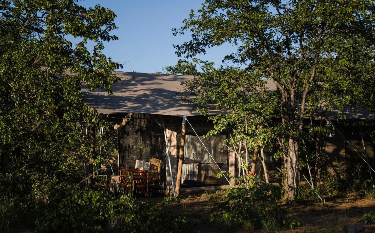 Simbavati Trails Camp Villa Резерват за дивеч „Тимбавати“ Екстериор снимка
